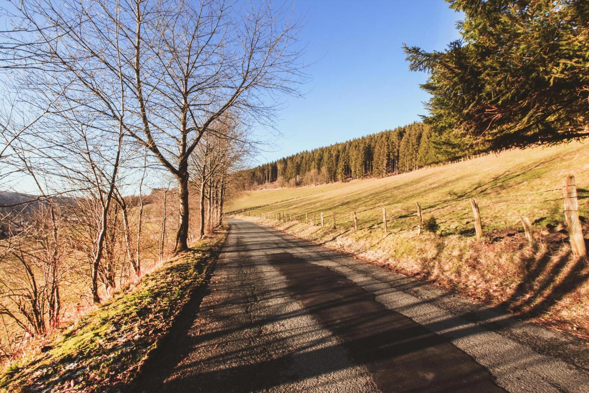 Apartament Fewo Clemensberg Niedersfeld Winterberg Zewnętrze zdjęcie