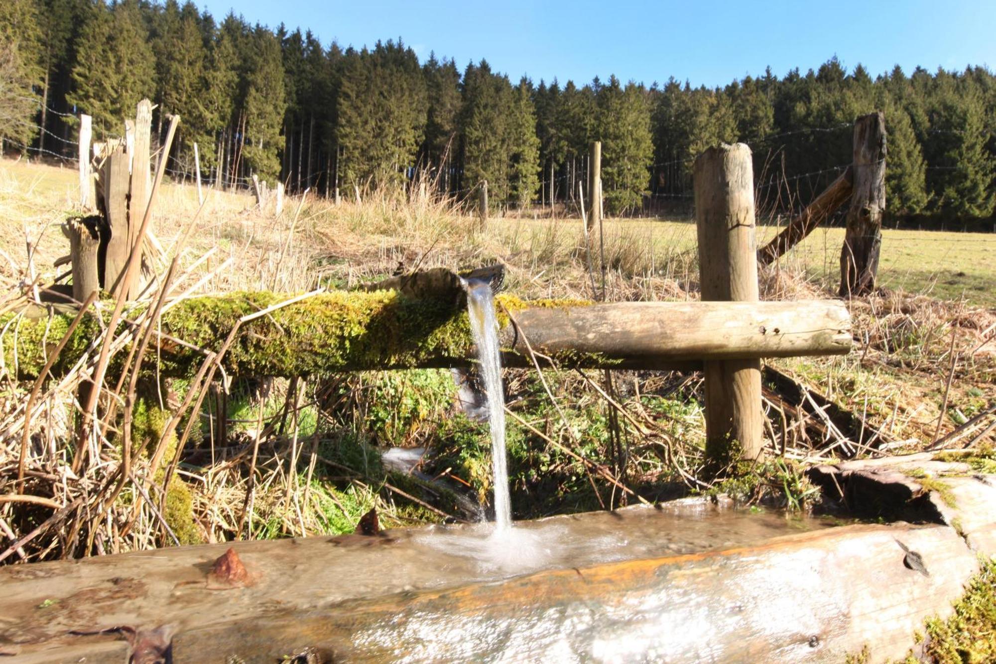 Apartament Fewo Clemensberg Niedersfeld Winterberg Zewnętrze zdjęcie